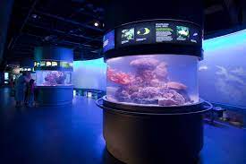 national mississippi river museum & aquarium