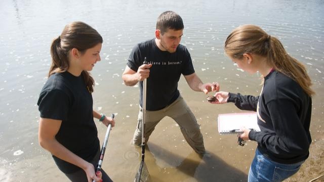Students collecting samples in a river