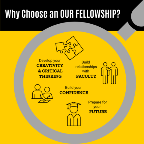 Why Choose a Fellowship