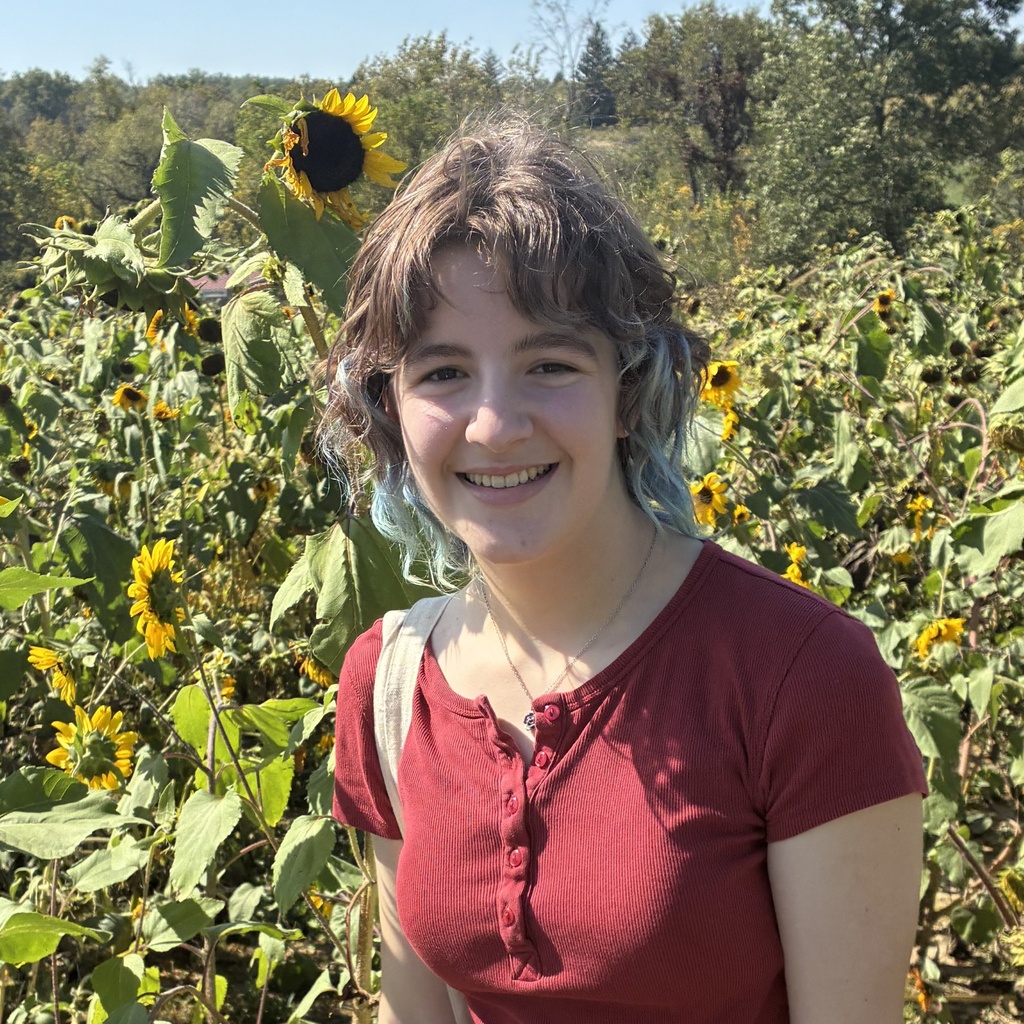 Alanna in Sunflower Field