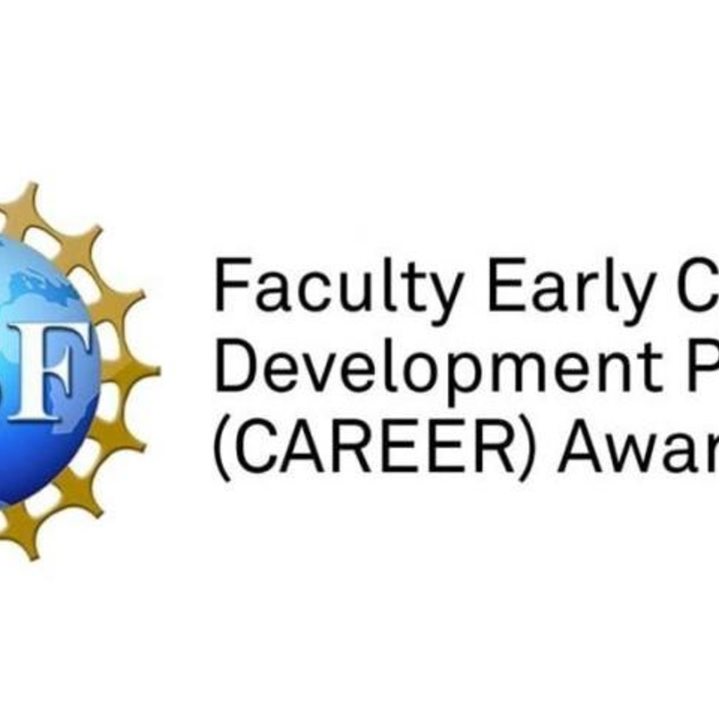 NSF CAREER Recent Awardee Panel Session promotional image