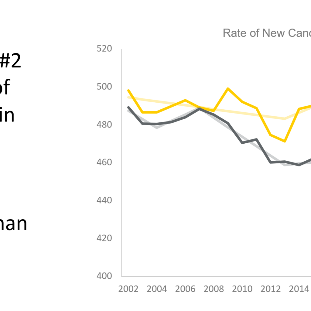 Reducing Iowa’s Cancer Risk through Novel Collaborations Ideas Lab promotional image